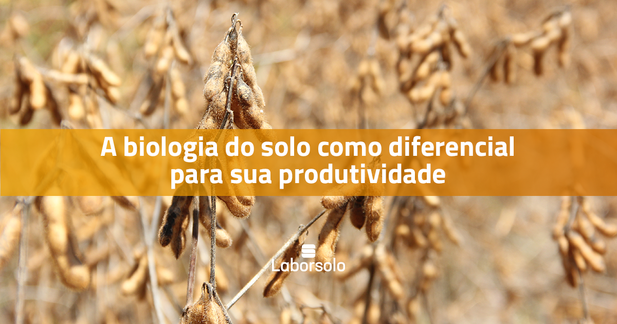 A biologia do solo como diferencial para sua produtividade