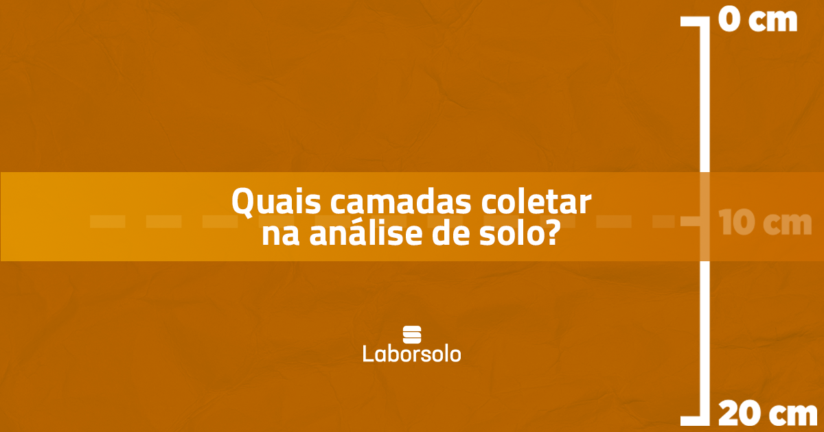 Quais camadas coletar na análise de solo?