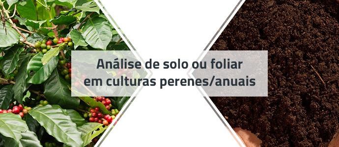 Análise de solo ou de folha em culturas perenes/anuais