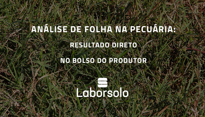 Análise de folha na pecuária: Resultado direto no bolso do produtor