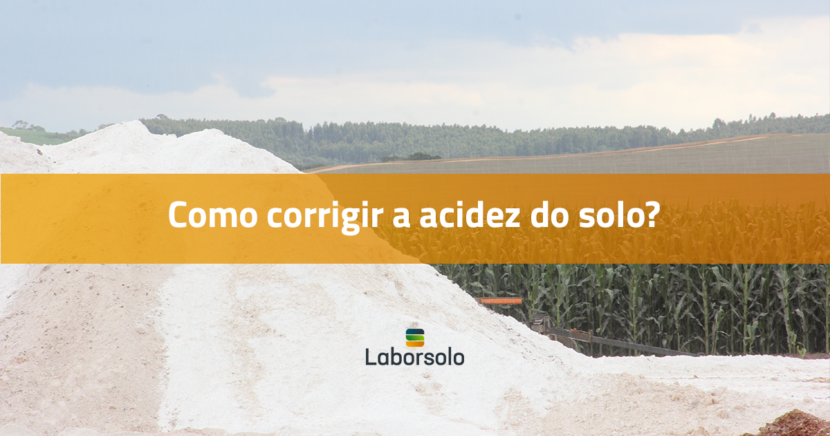 Como corrigir a acidez do solo?