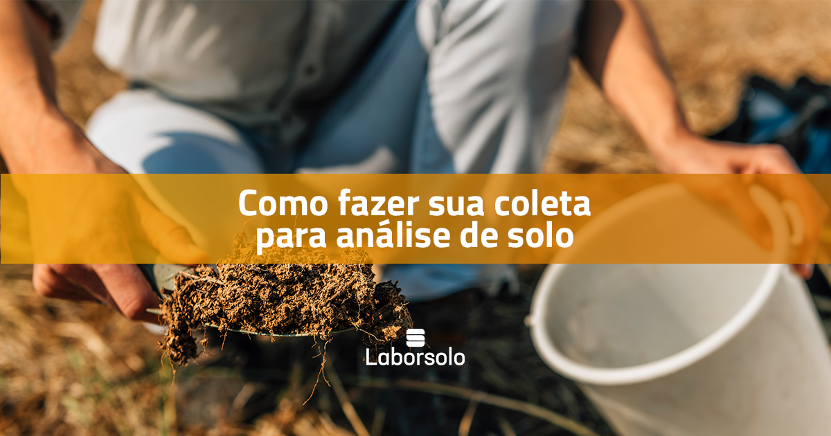 Como fazer sua coleta para análise de solo