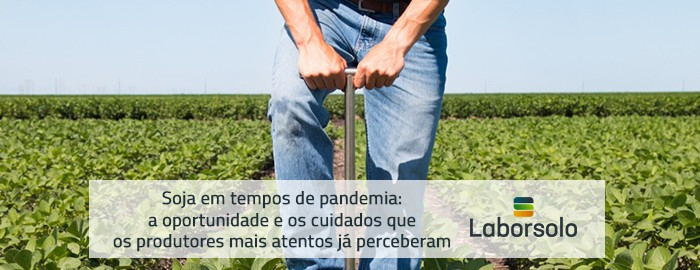 Soja em tempos de pandemia: a oportunidade e os cuidados que os produtores mais atentos já perceberam