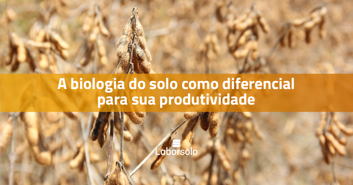 A Biologia Do Solo Como Diferencial Para Sua Propriedade Laborsolo